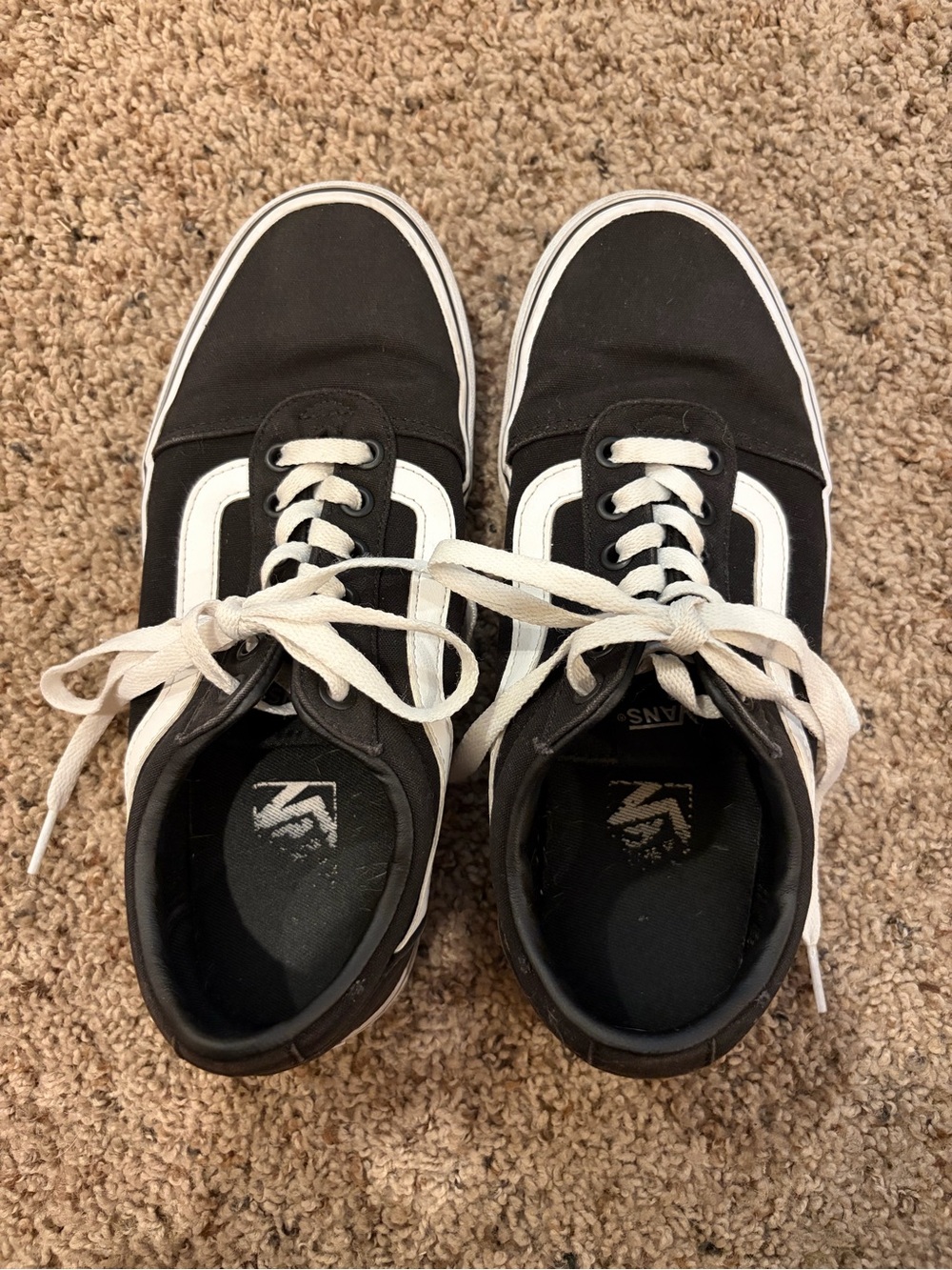 Vans Black and White Canvas Skate Sneakers